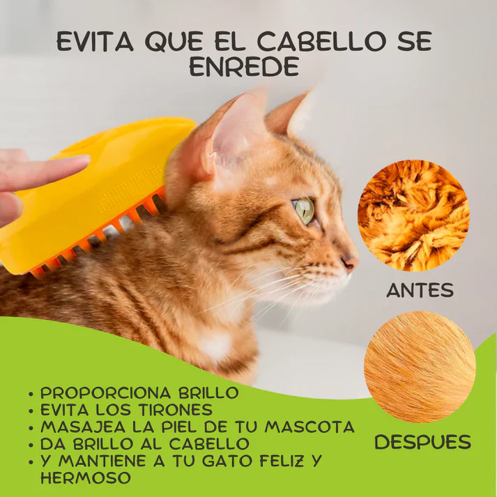 6_1296x1296.webp